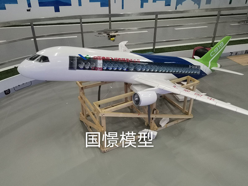 藤县飞机模型