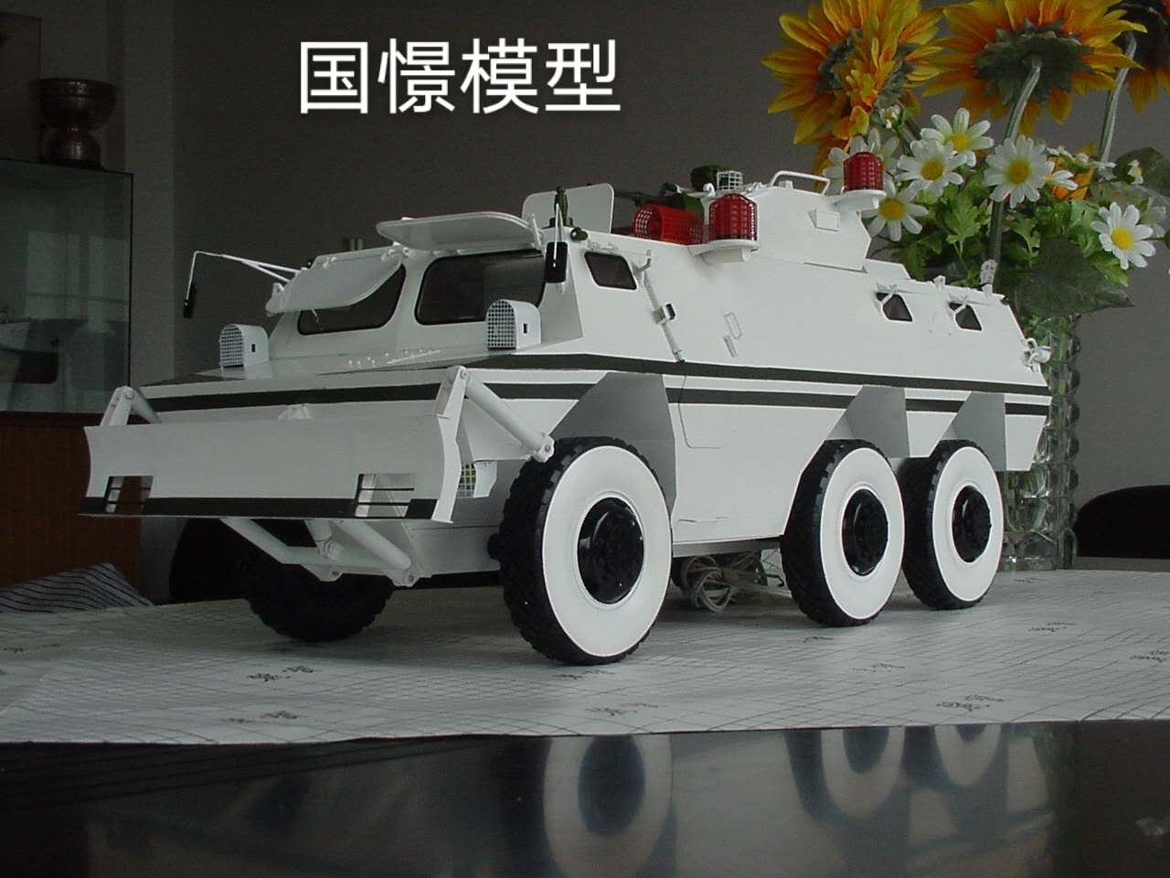 藤县军事模型