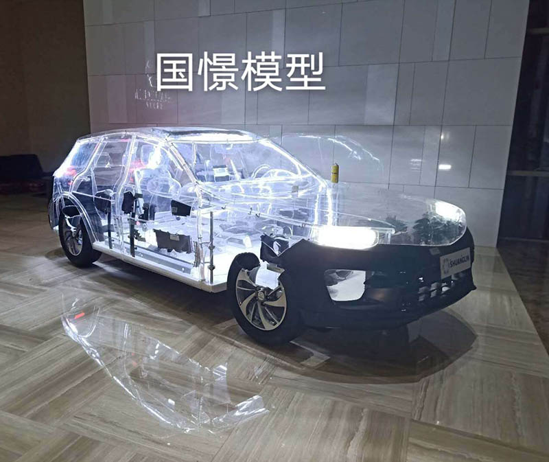藤县透明车模型